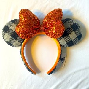 Disney Mickey Minnie ears